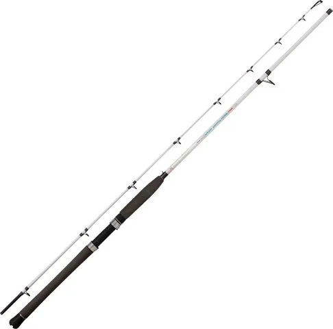 Rhino Power Wizard Spinnrute 2.10m 40–100g 115cm 2pc