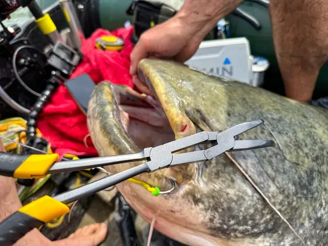 Black Cat Power Pliers 33cm High Carbon Steel Dual Joint