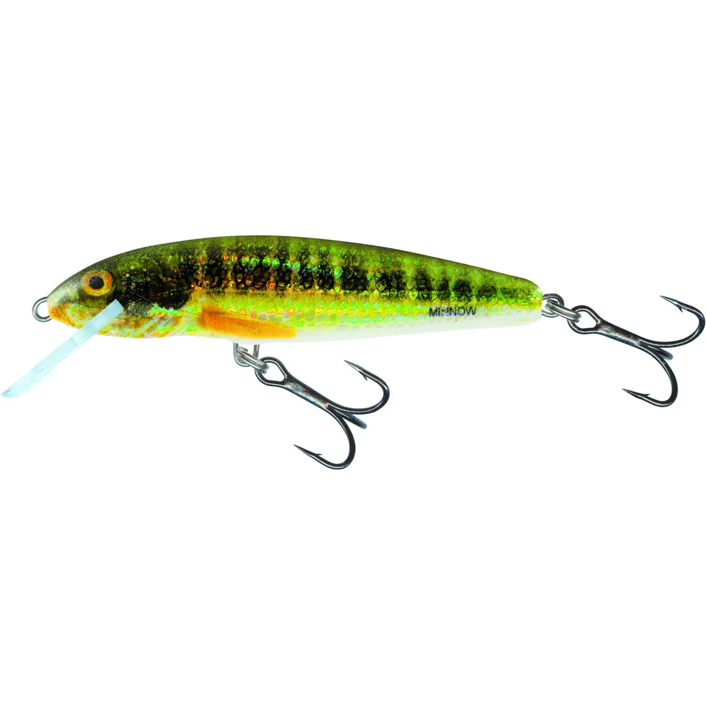 Salmo Minnow Wobbler 7cm Holo Real Minnow