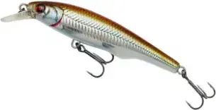 Savage Gear Gravity Twitch SR 14.5cm 50g 2–4m Roach