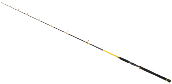 Black Cat Freestyle Pro Casting 220 Casting Rod 50–180g Progressive