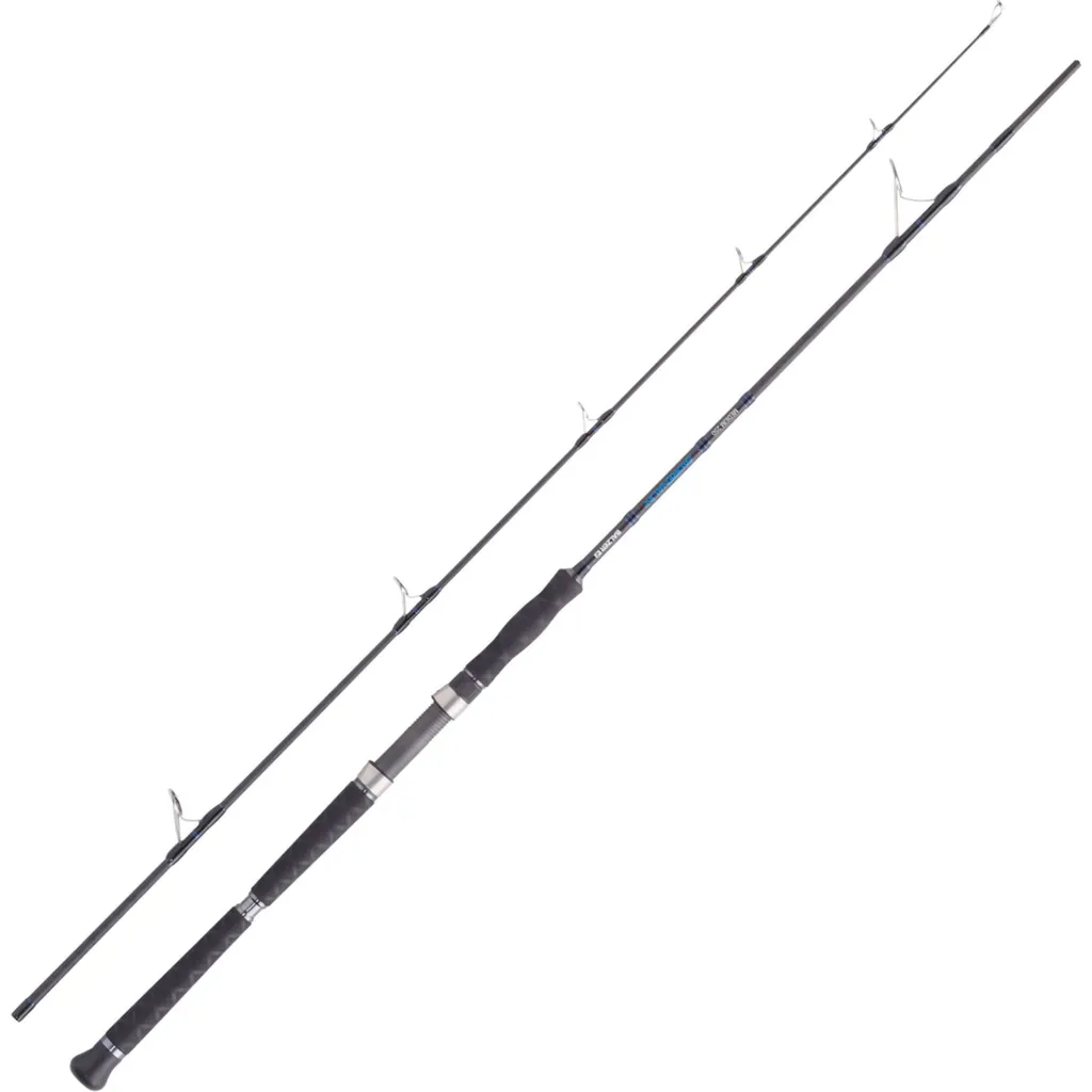 Balzer Adrenalin Medium S 250 Meeresrute 2.4m 90–250g 2pc