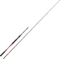 Hearty Rise Fire Master Baitcaster-Rute MOC 2.44m 60–120g