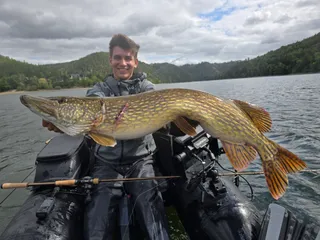 Hechtköder für den Herbst