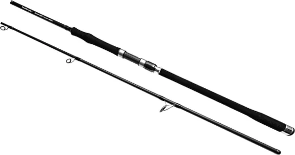 Bullseye Dentist Spinnrute 300 50–165g 2pc
