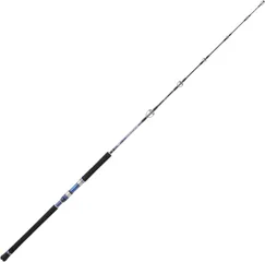 Hearty Rise Monster Game Jigging Meeresrute 1.62m 100–300g 1pc