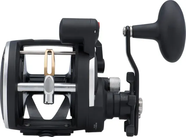 Penn Rival Level Wind 30 LC 3.9:1 641g