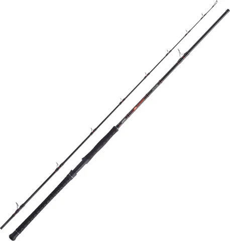 Balzer Solid Cat Catfish Rod 2.7m 450g 2pc