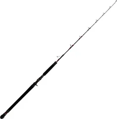 Hearty Rise Monster Speed Jigging Meeresrute 1.63m 420g 1pc