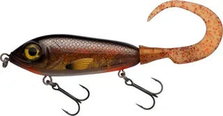 Abu Garcia Svartzonker McMy Tail 170 17cm 50g 0.5–1.5m Gr. 1/0 Crucian Carp