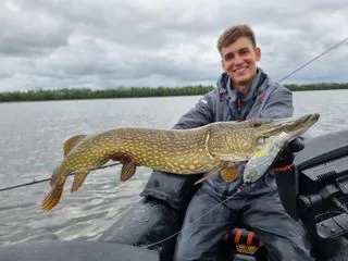 Savage Gear Deviator Tail Tail-Köder & Hybrid-Köder 16.5cm 48g 0.5–1.5m Clear Herring