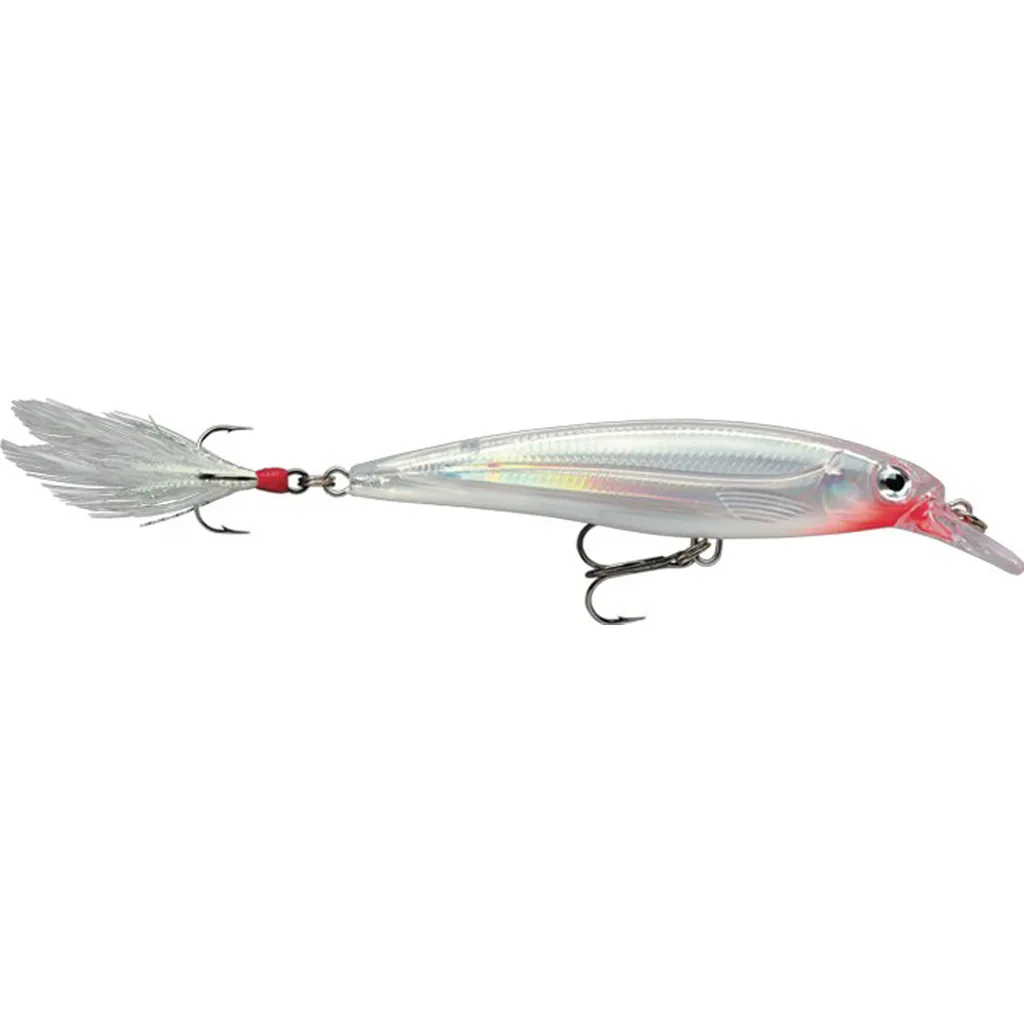 Rapala X-Rap Wobbler XR10 10cm 13g GGH
