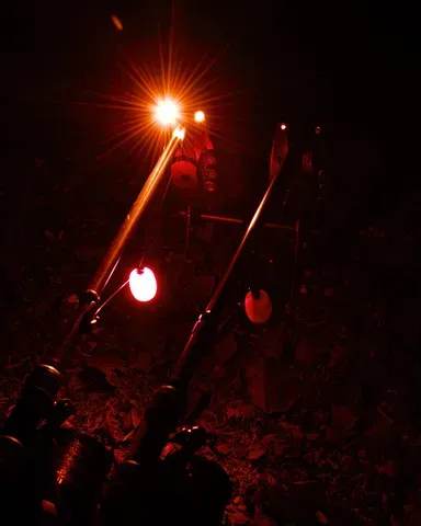 Fox Black Label Dumpy Halo Bobbin Red