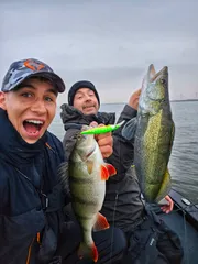 Berkley DEX Stunna 112 Plus1 Crankbaits 11.2cm 1.8–3m 14g Fire