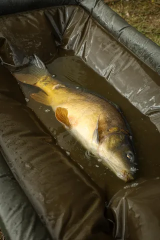 Fox Carpmaster Welded Cradle 126x78cm