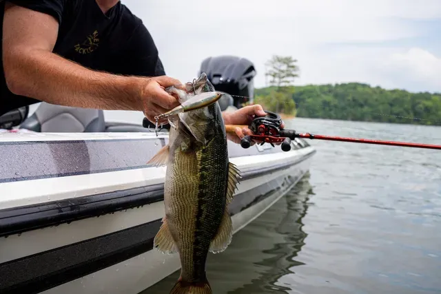 Berkley Choppo Topwater 9cm 14g Ghost Bluegill