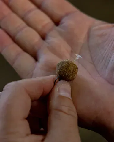 Fox Edges Wide Gape Rig Size 6 9.1kg 2pcs Camo Short Line Aligna