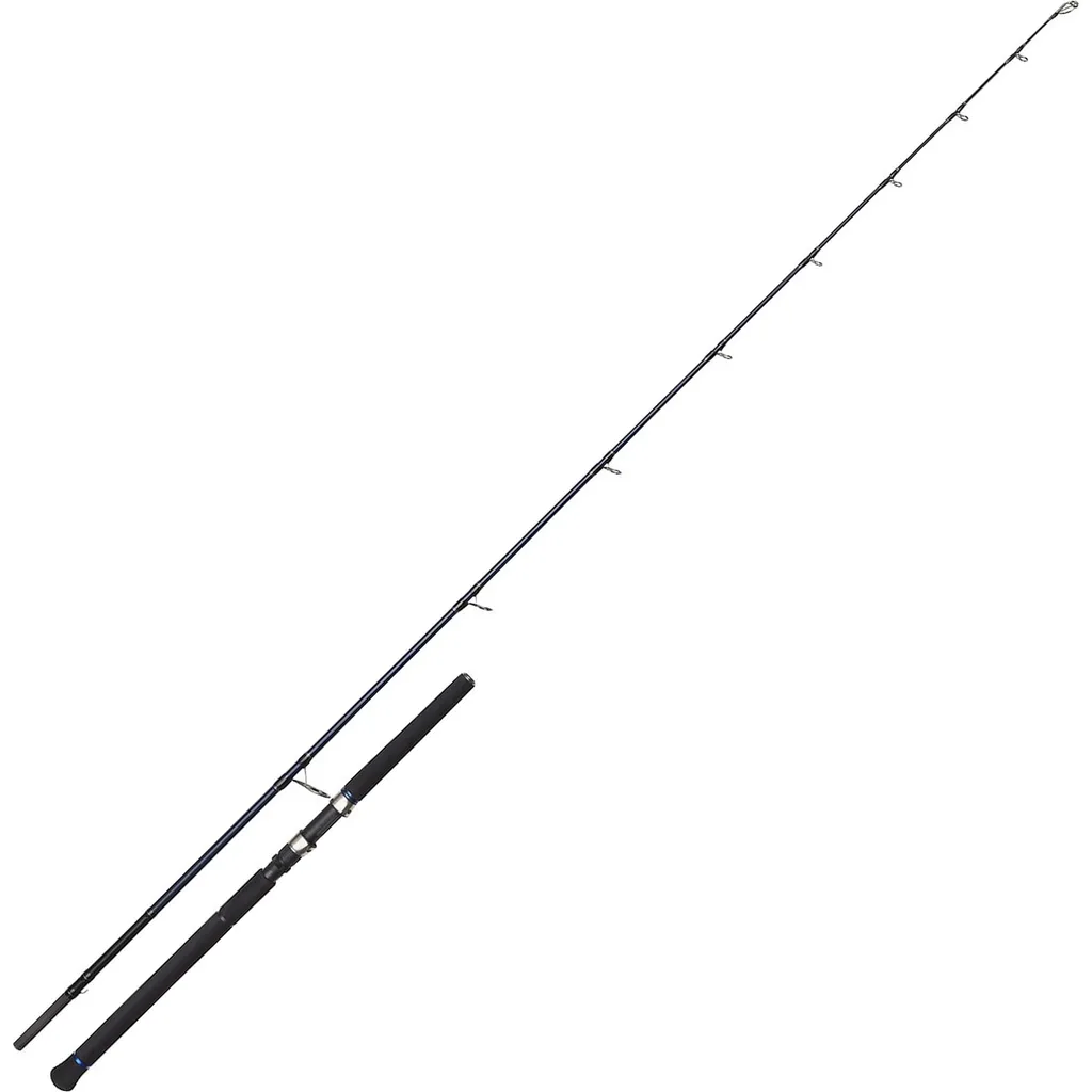 Westin W2 Offshore Powercast Meeresrute 2.49m 22–82g 2pc MH