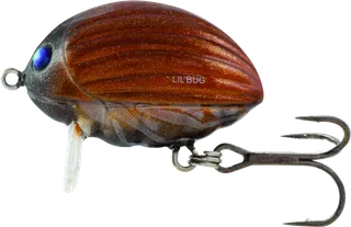 Salmo Lil'Bug Topwater 2cm 2.8g Floating May Bug