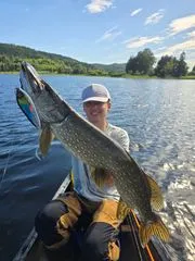 Abu Garcia Svartzonker McMy Tail Tail-Köder & Hybrid-Köder 20cm 83g 0.5–2m Blue Sunrise