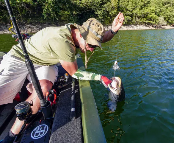 Black Cat Catextreme Spare Spool 55 14kg Aluminium