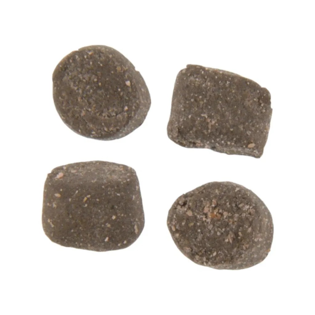 Berkley PowerBait Trout Nuggets Boilies & Carp baits Cheese 57g