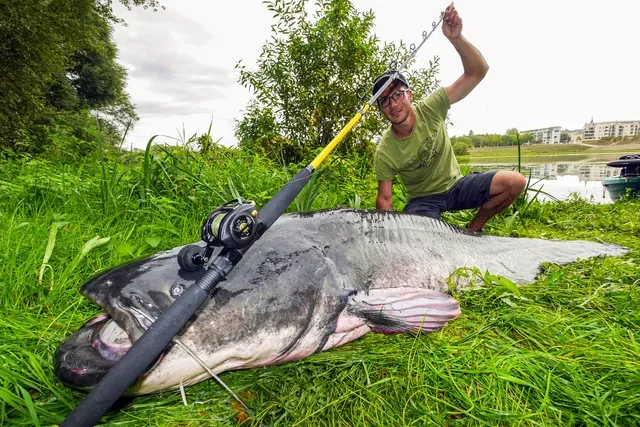 Black Cat Black Passion G2 Vertical Wallerrute 180cm