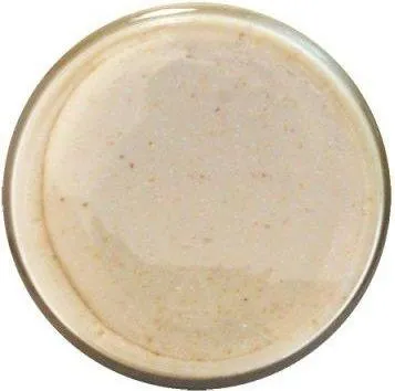 Berkley PowerBait Forellenteig Fisch-Skala 50g