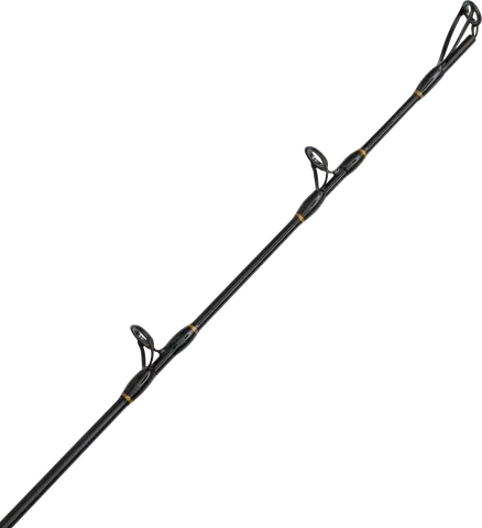 Black Cat Perfect Passion Allstar Cast Casting Rod 2.2m 30–130g Semi-Parabolic