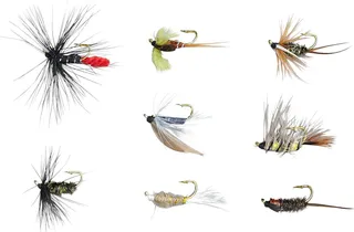 Balzer Edition Fly Nassfliegen/Nymphen 8er