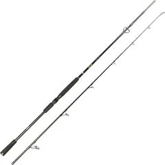 Spro Big Lure Spin Spinnrute 2.40m 50–140g 220g 125cm