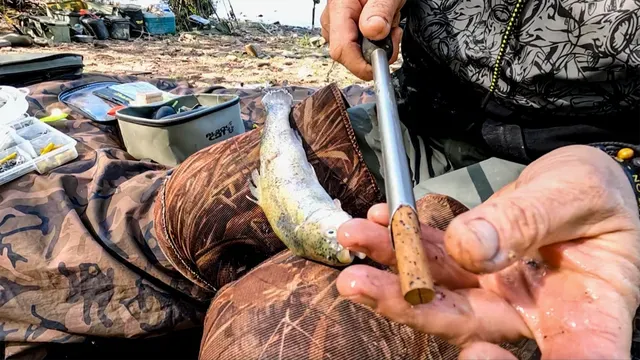 Black Cat Dead Bait Puncher 40cm River