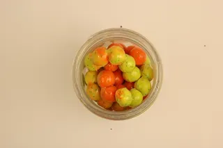 Berkley PowerBait Power Eggs Floating Magnum 14g 14cm 40pc Rainbow