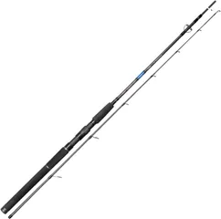 Gamakatsu Akilas Salt & Boat 80XXXXH Meeresangelrute 2.4m 60–120g 2pc