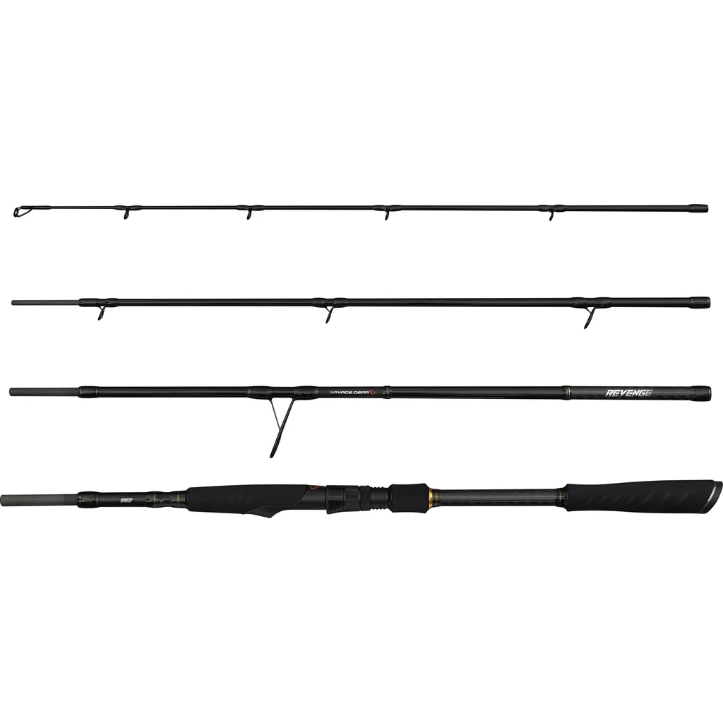 Savage Gear REVENGE SG2 Heavy G TR Spinnrute 2.43m 30–80g 4pc