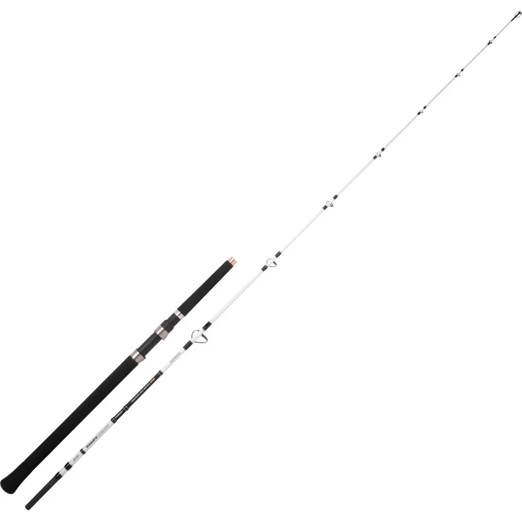 Spro Sb Nano Mega Jig Spin Meeresrute 2.1m 450g 2pc