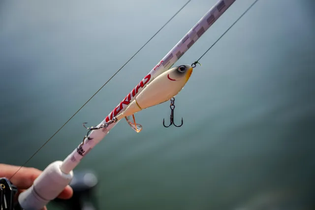Berkley Choppo Oberflächenköder 90 14g MF Frog