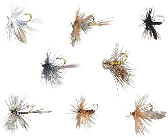 Balzer Edition Fly Trockenfliegen-Sortiment 105708