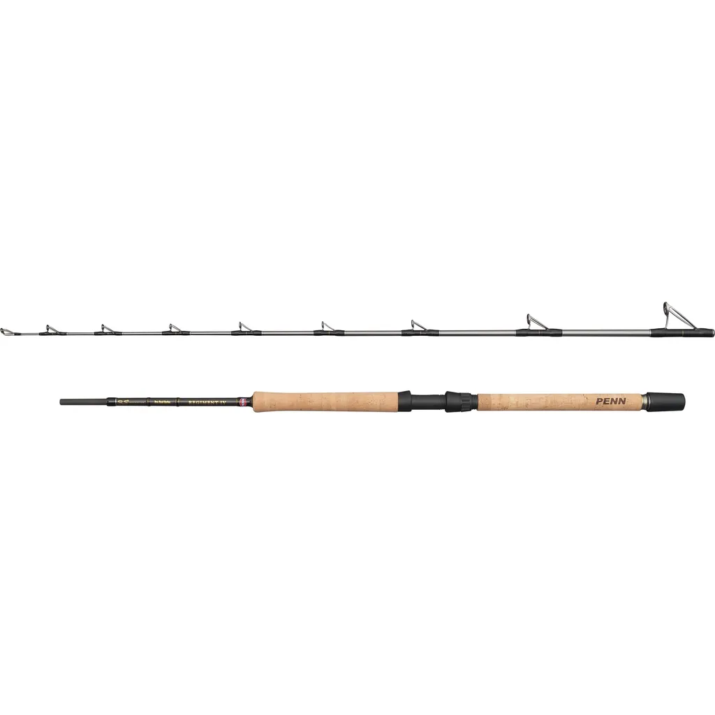 PENN REGIMENT IV Pro Boat Meeresrute 702 2.1m 2pc 12–20lb
