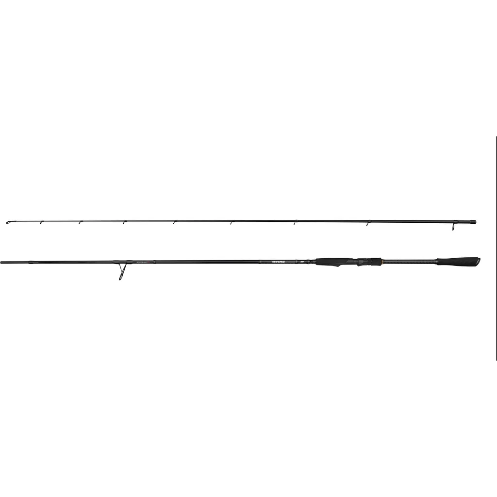 Savage Gear REVENGE SG2 Fast Shad Spinnrute 2.74m 15–40g 2pc