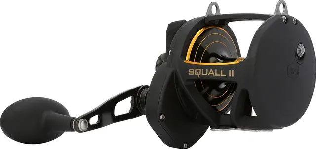 Penn Squall II 60 14.9kg 692g 4.8:1