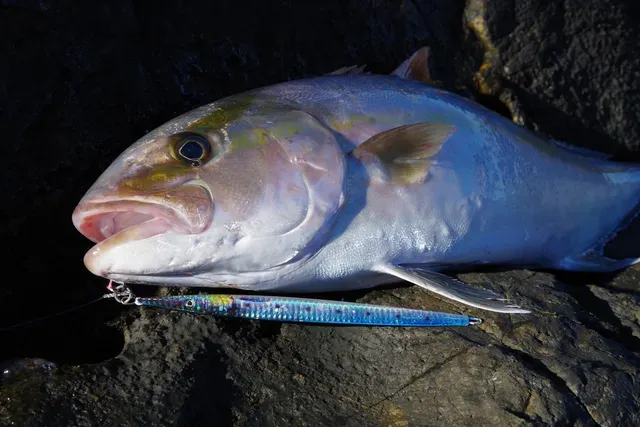 Savage Gear UV Needle Jig 21cm 100g Sardine