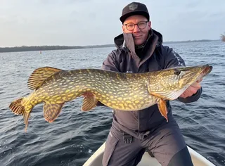 Ready to Strike - Hoch die Hände, Schonzeitende!