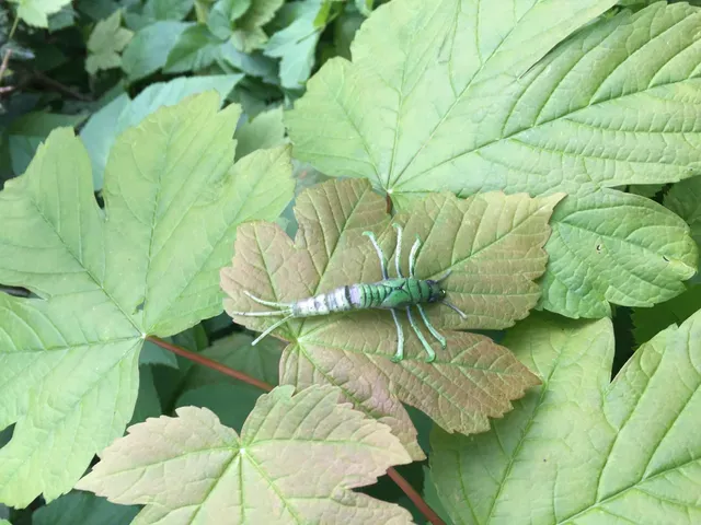 Savage Gear 3D Tpe Mayfly Nymph 5cm 2.5g Green