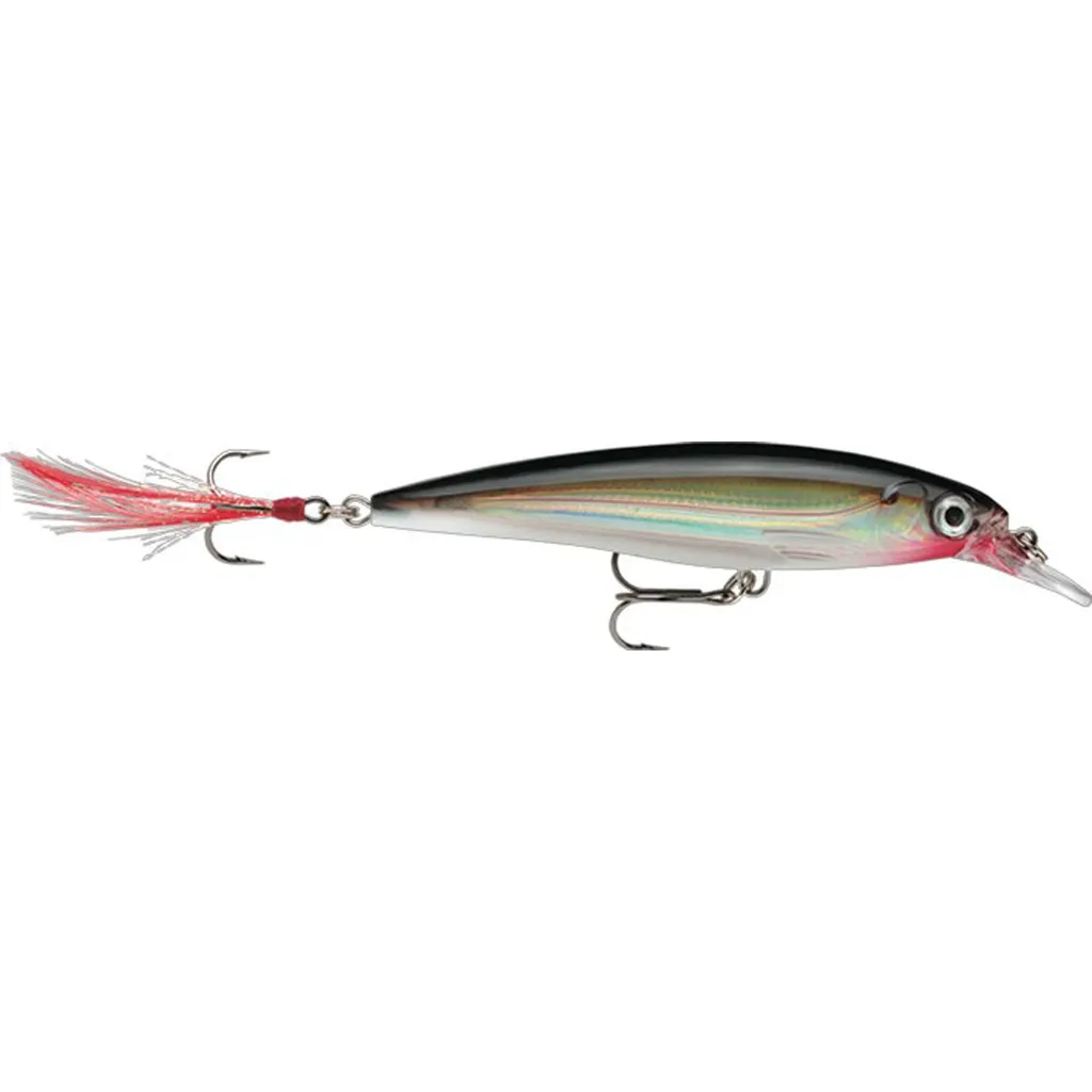 Rapala X-Rap Wobbler XR10 10cm 13g S