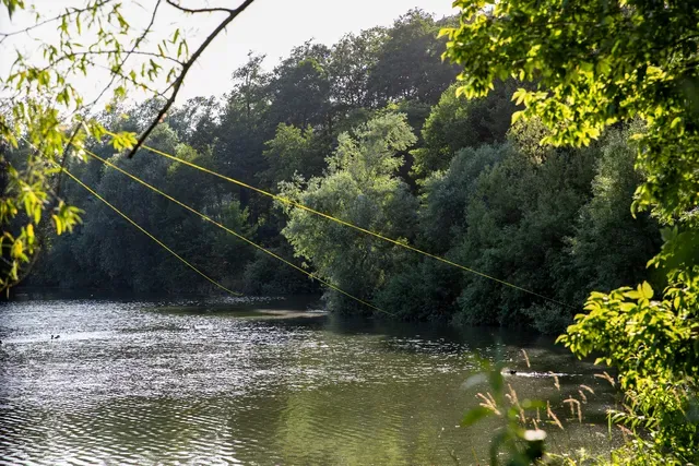 Black Cat Zeus Line G2 0.45mm 46kg 400m yellow