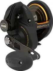 Penn Squall II 40 9kg 563g 7.1:1