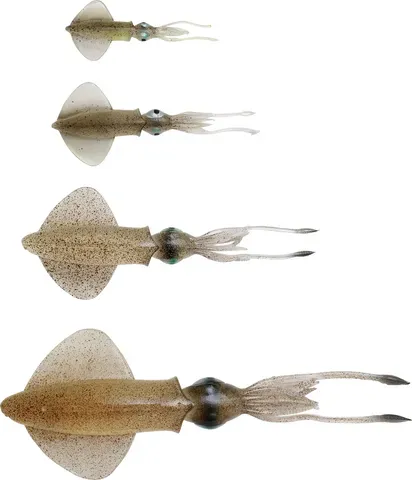 Savage Gear 3D Swim Squid 25cm 86g Cuttle Fish