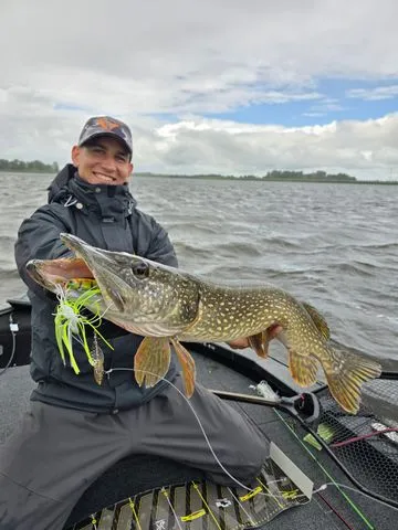 Savage Gear Da Bush Spinnerbaits 16cm 32g Red Head Silver