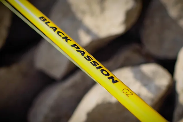 Black Cat Black Passion G2 Spinnrute 2.4m 50–200g 275g 140cm